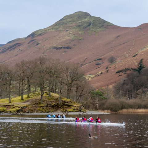 Rowing races on Derwentwater